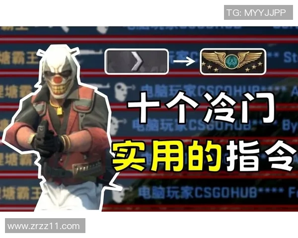 新手必看CSGO入门攻略与实用技巧全面解析实时新闻